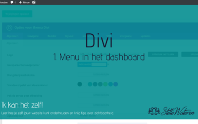 Divi – 1: Het menu in het dashboard